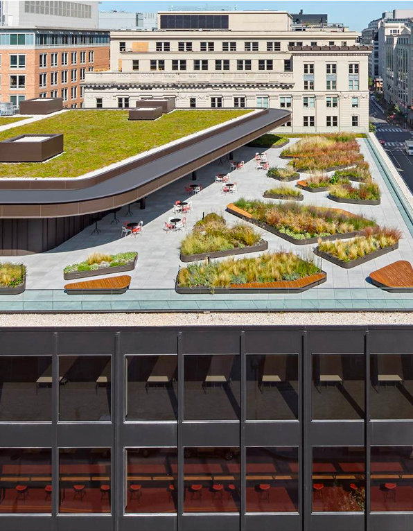 immagine La location della mostra: Martin Luther King Jr. Memorial Library